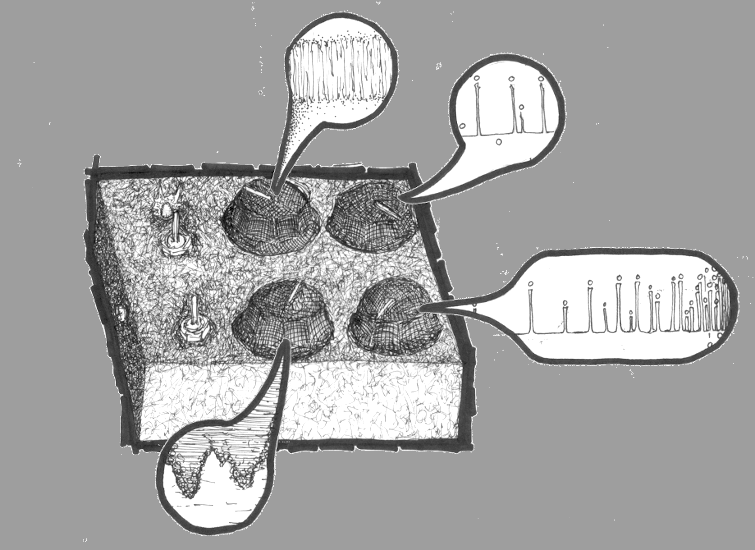 Crude manual, RMA Crustacean